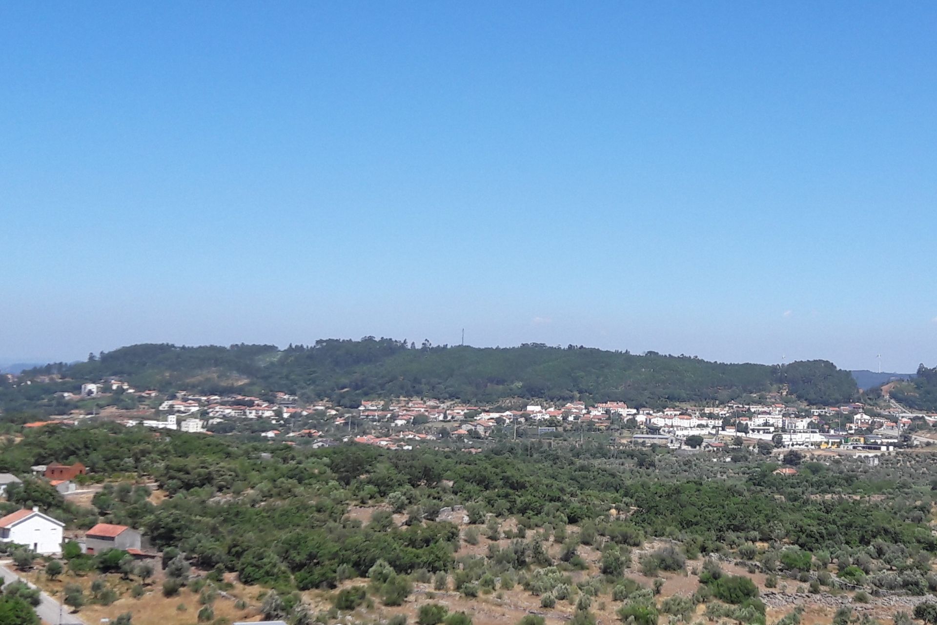 landing-image
