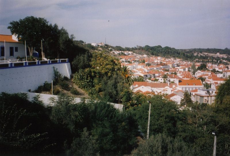 landing-image