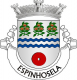Brasão de Espinhosela