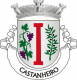 Brasão de Castanheiro