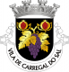 Brasão de Carregal do Sal